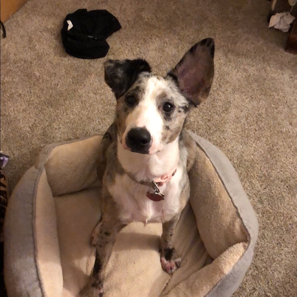 Meet your Posher, Addyson